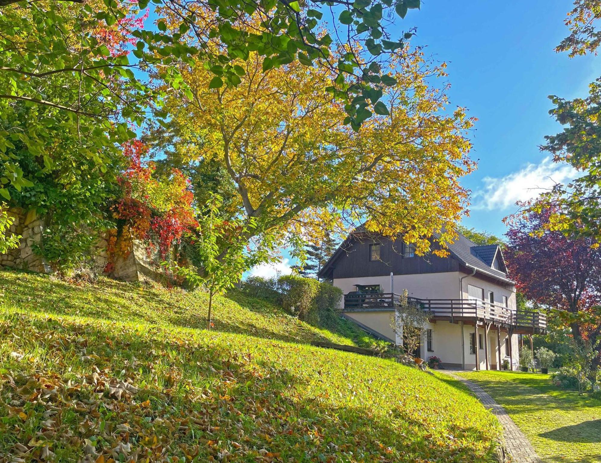 Ferienwohnung-Am-Suedhang Muglitztal Exterior foto